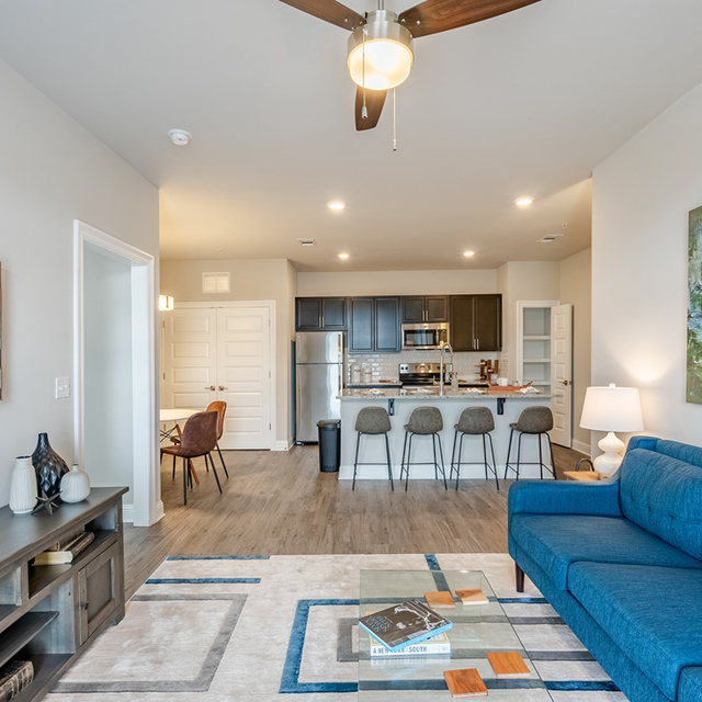 Oasis at Southpark - Carpeted Living Room