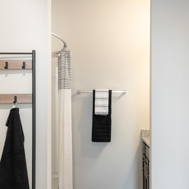 Oasis at Southpark - Closet