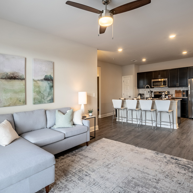 The Oasis at Southpark - Carpeted Living Room