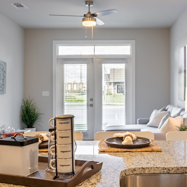 Oasis at Southpark - Apartment Interior